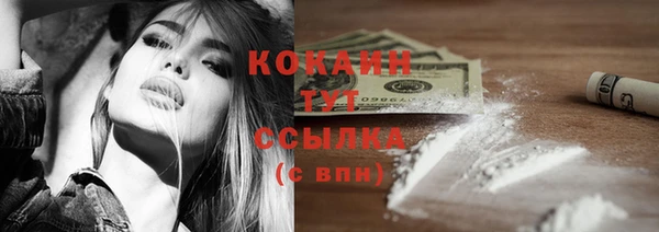 дживик Волоколамск