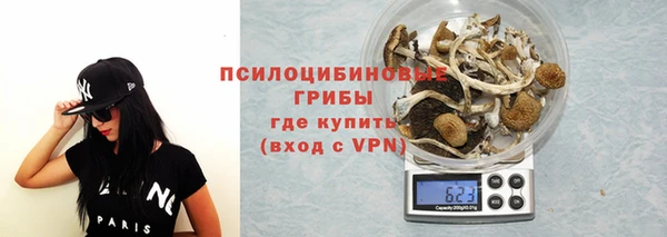 ПСИЛОЦИБИНОВЫЕ ГРИБЫ Володарск