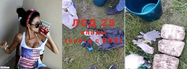 ПСИЛОЦИБИНОВЫЕ ГРИБЫ Володарск