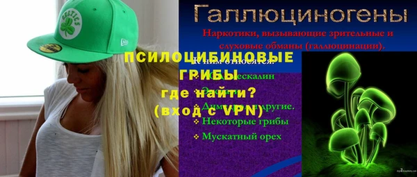 дживик Волоколамск